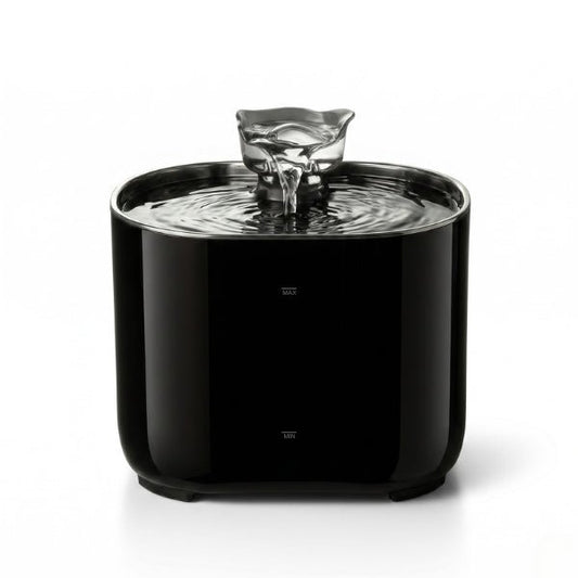 Fontaine eau chat automatique hydratation continue pour encourager chat qui boit peu