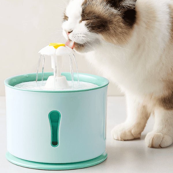 Fontaine eau chat automatique silencieuse ronde cascade fleuron félin boit Hydroflor™