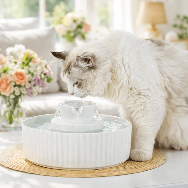 Chat buvant à une fontaine en céramique blanche à cascade - Organic™