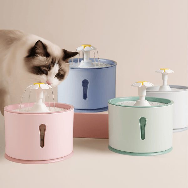 Fontaine eau chat colorée ronde trois couleurs choix design décoration intérieure Hydroflor™