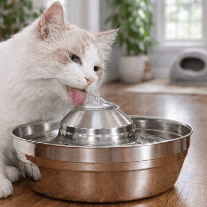 Chat buvant dans une fontaine eau chat en inox à buse centrale