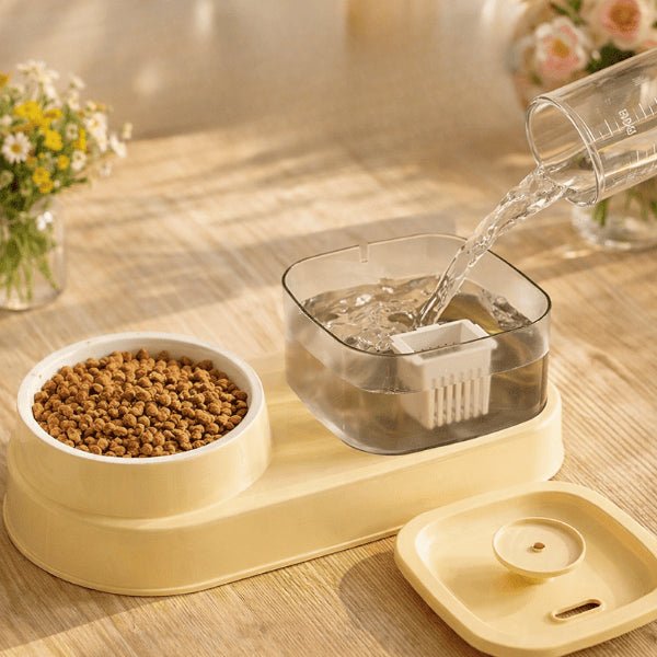 Versement de l’eau dans le réservoir transparent de la fontaine à eau pour chat DuoFlow™