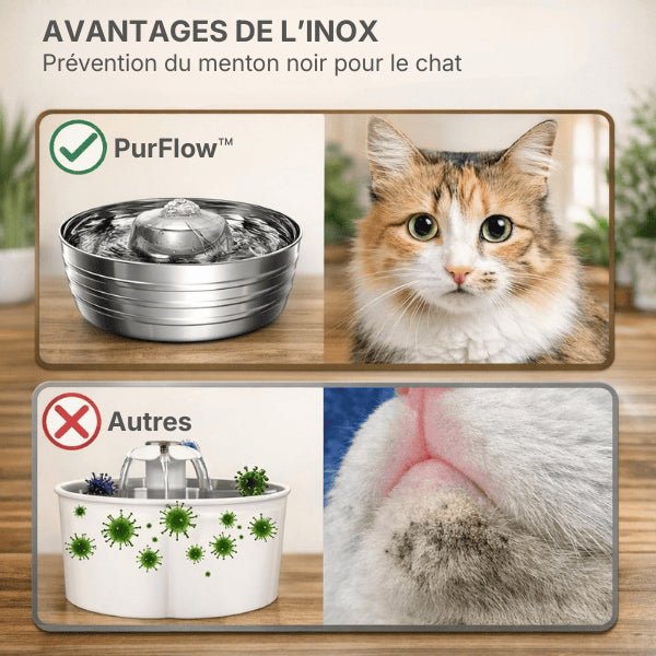 Fontaine pour chat en inox limitant bactéries et menton noir