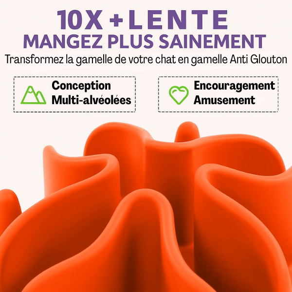 Gamelle anti-glouton chat alimentation plus lente multi alvéolées - BaseBowl™
