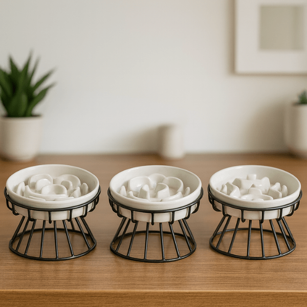 Gamelle anti glouton chat ceramique surélevée amovible trois motifs smiley fleur labyrinthe