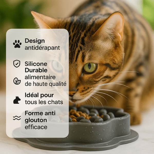 Gamelle anti-glouton chat silicone durable antidérapante pour tous les chats | SiliZen™
