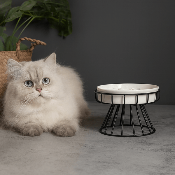 Gamelle anti glouton chat surélevée céramique blanche support fer noir félin blanc détendu apaisé