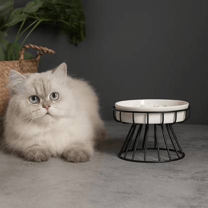 Gamelle anti glouton chat surélevée céramique blanche support fer noir félin blanc détendu apaisé