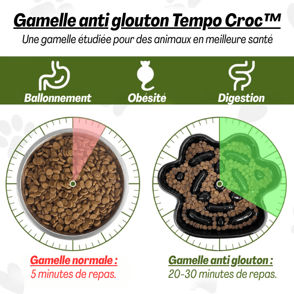 Gamelle anti glouton chat Tempo Croc™ – modèles normale et anti glouton