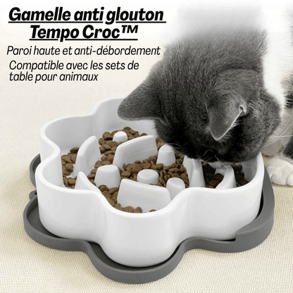 Gamelle anti glouton chat | Tempo Croc™ - Amour de Chat