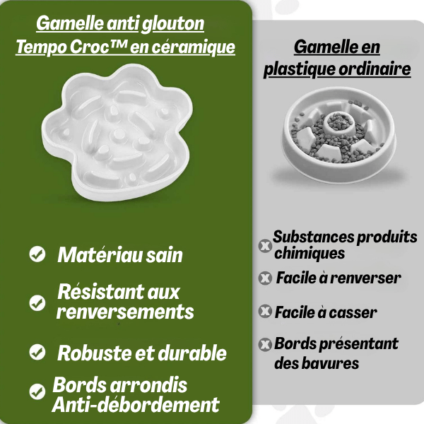 Gamelle anti glouton chat | Tempo Croc™ - Amour de Chat