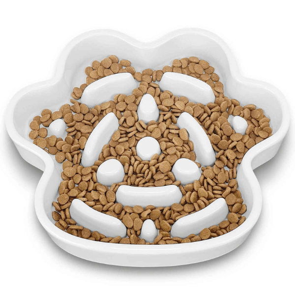 Gamelle anti glouton chat | Tempo Croc™ - Amour de Chat