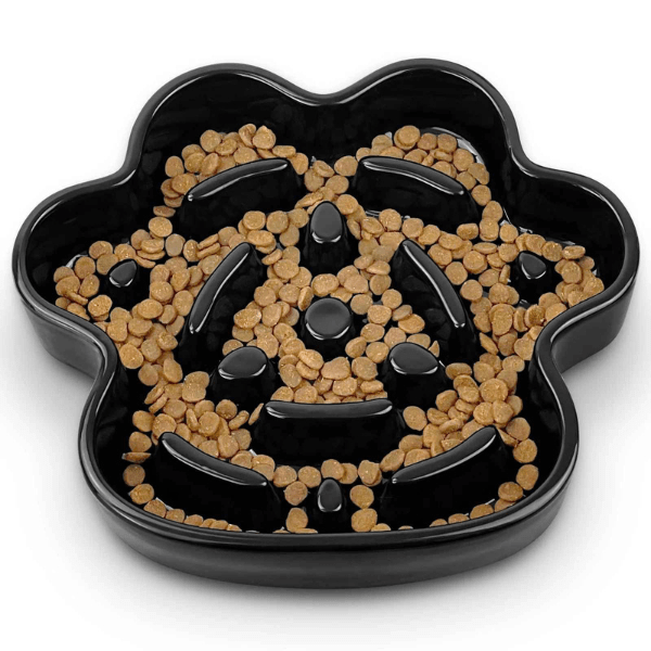 Gamelle anti glouton chat | Tempo Croc™ - Amour de Chat