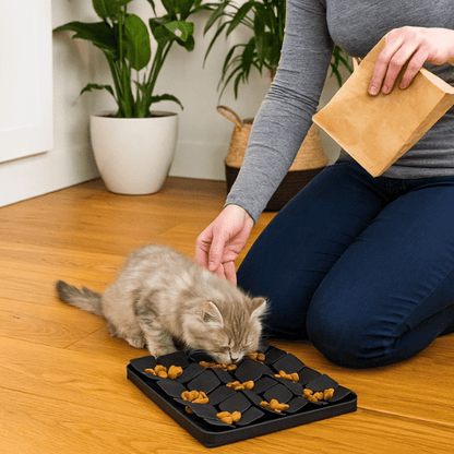 Femme donne repas chaton dans gamelle anti glouton chaton ludique MeowMeal™