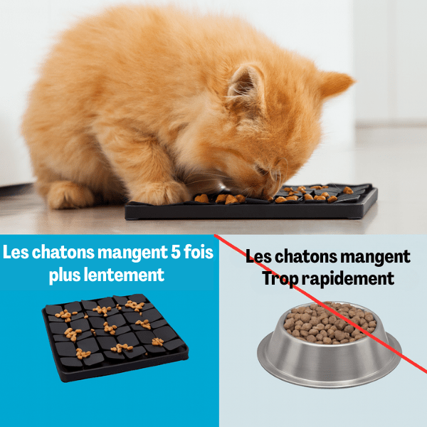 Alimentation plus lente moins rapide avec gamelle anti glouton chaton MeowMeal™