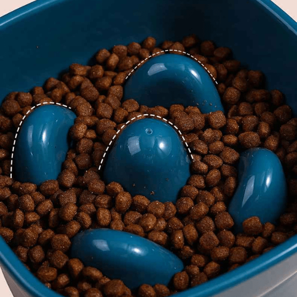 Gamelle anti glouton chaton labyrinthe alvéolée avec croquettes SavourKitten™