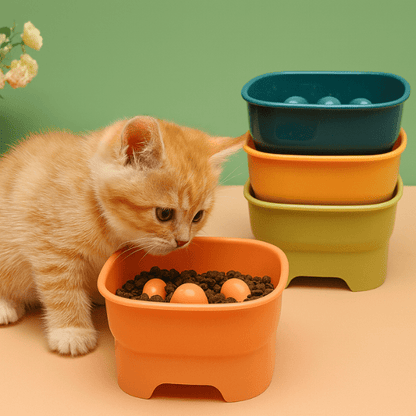 Chaton mange croquettes dans gamelle anti glouton chaton surélevée SavourKitten™