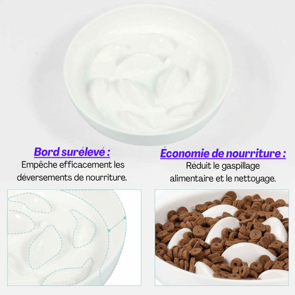 Assiette blanche céramique gamelle anti glouton remplie de croquettes bord surélevé