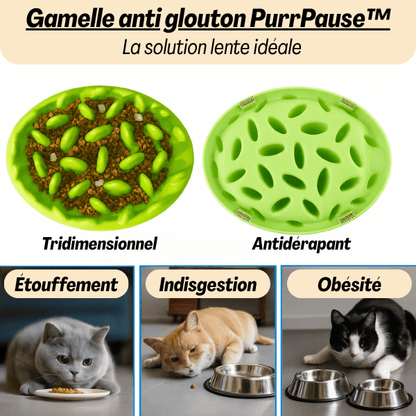 Gamelle anti glouton | PurrPause™ - Amour de Chat