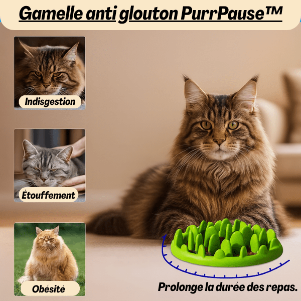 Gamelle anti glouton | PurrPause™ - Amour de Chat