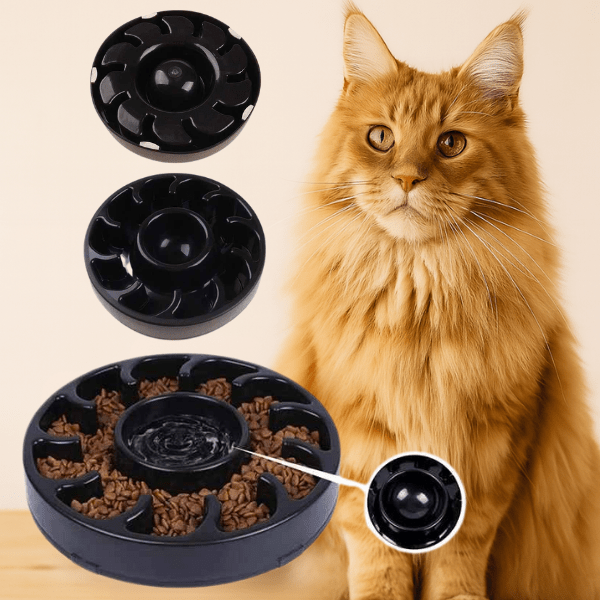 Chat avec une gamelle anti glouton WhiskerPause™ et compartiment central hydratation