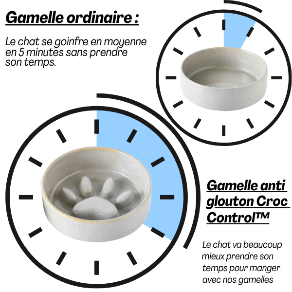 Gamelle anti glouton | ZenCroquette™ - Amour de Chat