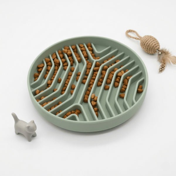 gamelle anti gloutons chat avec croquettes stimule recherche et réduit prise rapide