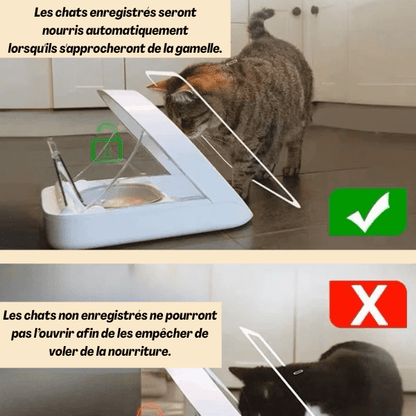 Gamelle automatique chat avec puce accès chat autorisation antivol de nourriture - MiaoMatic Puce™