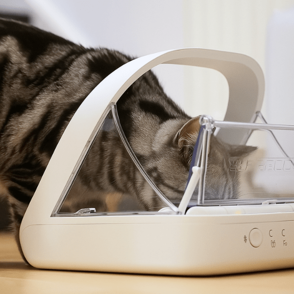 Gamelle automatique chat avec puce antivol de nourriture régime strict vétérinaire MiaoMatic Puce™