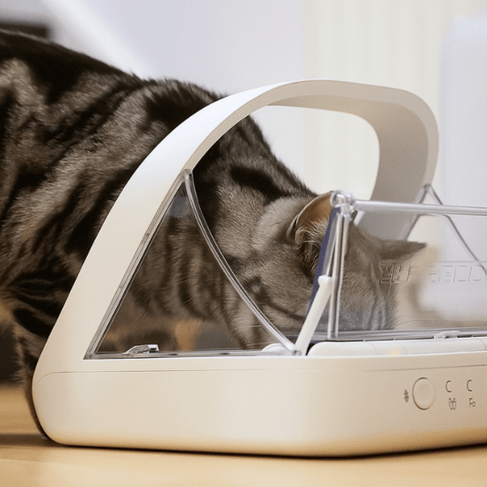 Gamelle automatique chat avec puce antivol de nourriture régime strict vétérinaire MiaoMatic Puce™