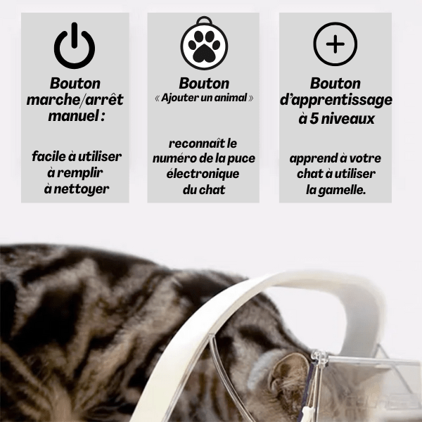 Gamelle automatique chat avec puce facile à utiliser configuration bouton apprentissage - MiaoMatic Puce™