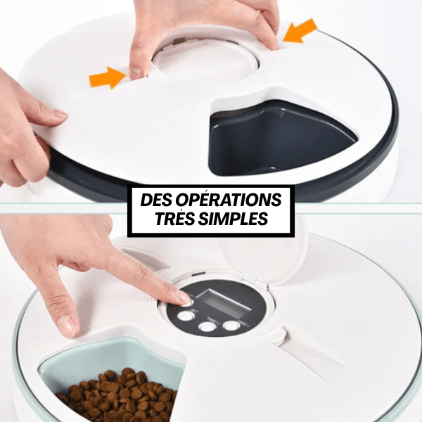 Gamelle automatique chat | Feeder 600 Cat™ - Amour de Chat