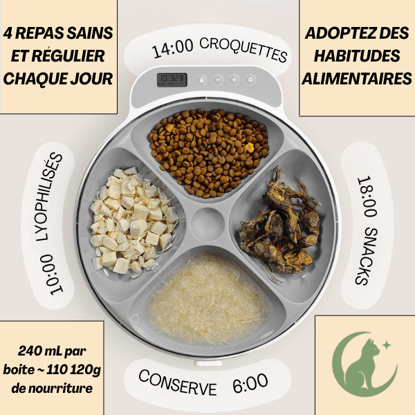 Gamelle automatique chat | Féli - Feeder™ - Amour de Chat