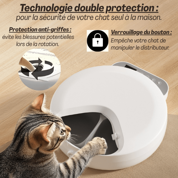 Gamelle automatique chat | Féli - Feeder™ - Amour de Chat