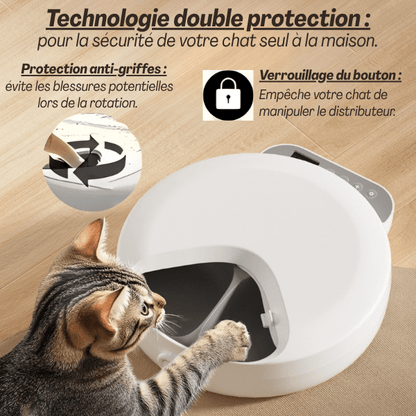 Gamelle automatique chat | Féli - Feeder™ - Amour de Chat