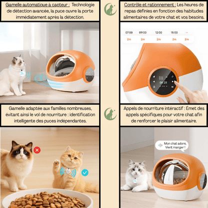 Gamelle automatique chat puce detecteur avancée contrôle rationnement grande capacité appel - CrocTech Edition™