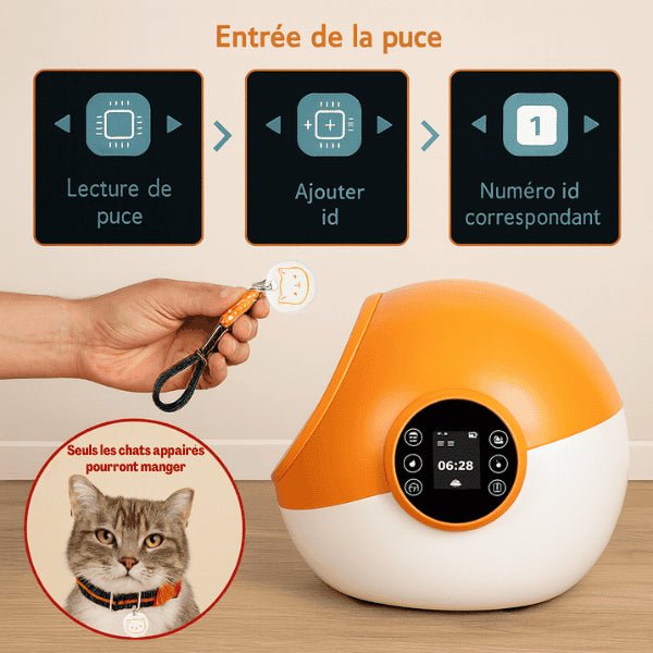 Gamelle automatique chat puce enregistrement appairage félin exclusif repas CrocTech Edition™