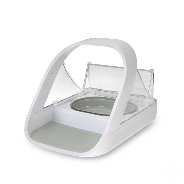 Gamelle automatique chat reconnaissance puce à couvercle basculant tapis intégré pour repas exclusif