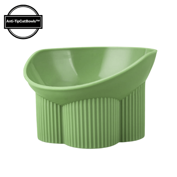 Gamelle chat anti renversement verte presentée Anti-tipCatBowls™