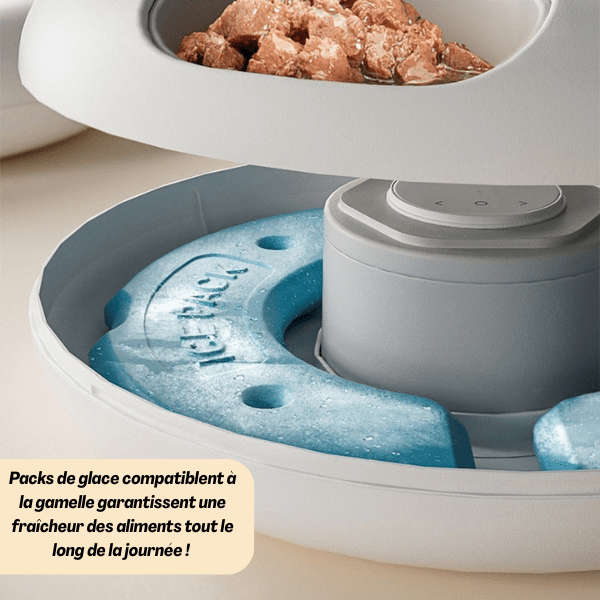 Gamelle chat automatique connectée pour nourriture fraîche meilleure conservation - BowlPro 600™