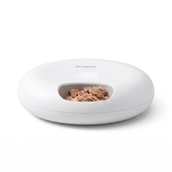 Gamelle chat automatique connectée 6 repas frais programmables à distance idéale absence