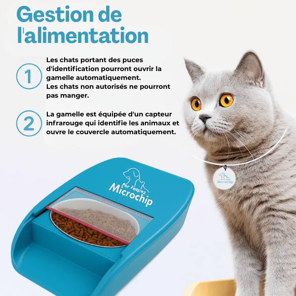 Gamelle chat automatique puce medaillon RFID implants batterie | Feeder Puce Tech™