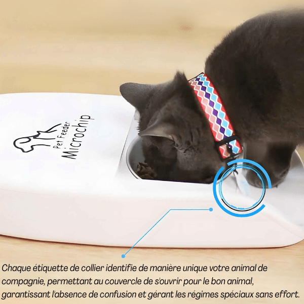 Gamelle chat automatique puce medaillon RFID implants batterie | Feeder Puce Tech™