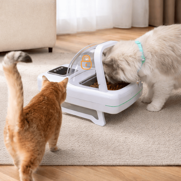 Gamelle automatique chat puce et implant antivol de nourriture entre félin - Puce Motion+™