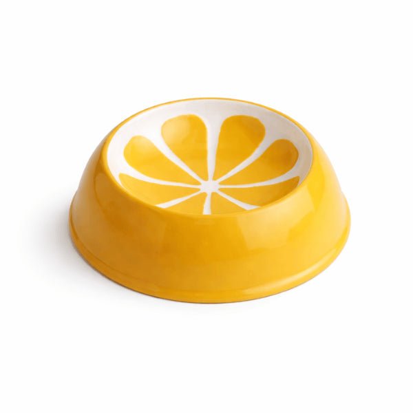 Gamelle chat céramique design citron limite les renversements pendant les repas croquettes quotidiennes
