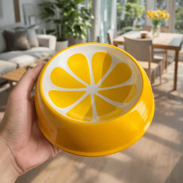 Gamelle chat céramique design citron porté dans une main en format agréable pour repas du chat
