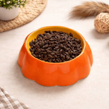 Gamelle chat céramique design orange stable avec croquettes pour repas sécurisé dans un coin élégant