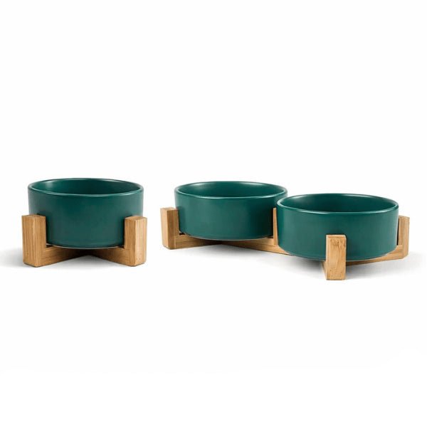 gamelle chat céramique raffinée favorise digestion confortable et posture saine durable