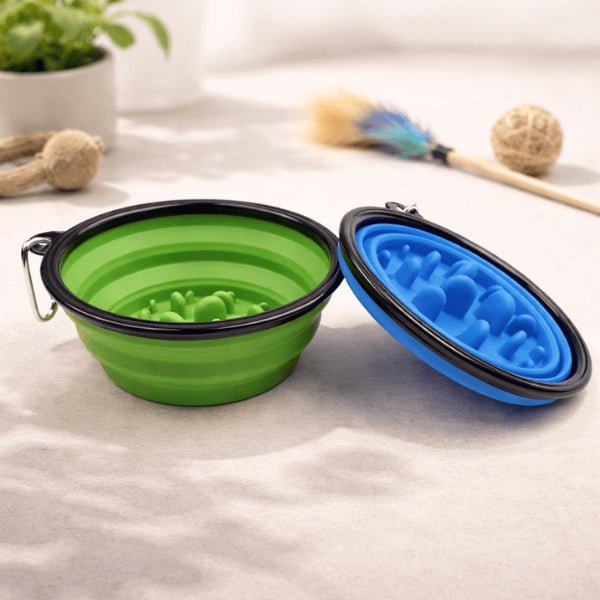 Gamelle chat glouton pliable multi couleurs pratique pour repas lent partout