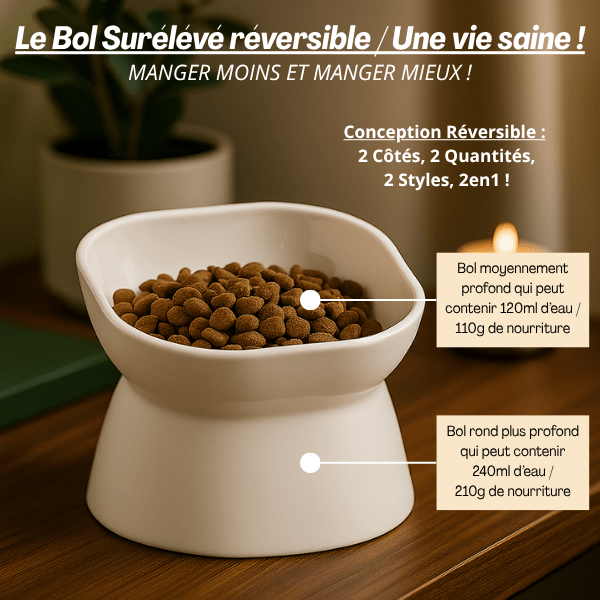 Gamelle chat surélevée réversible blanche carrée et ronde conception 2en1 - Bol Purrfect™
